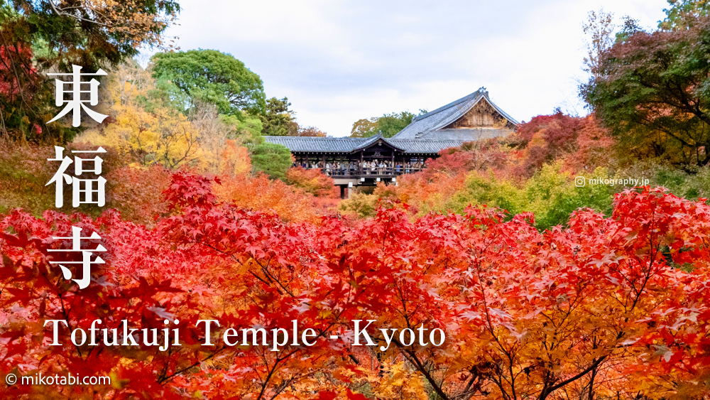 東福寺の紅葉2025事前予習 アクセス方法・見どころ紹介