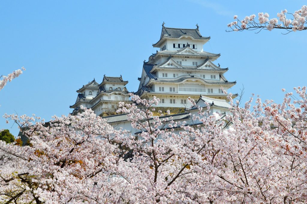 【2026年版】全国の桜おすすめスポット100選｜一生に一度は見たい絶景お花見ガイド