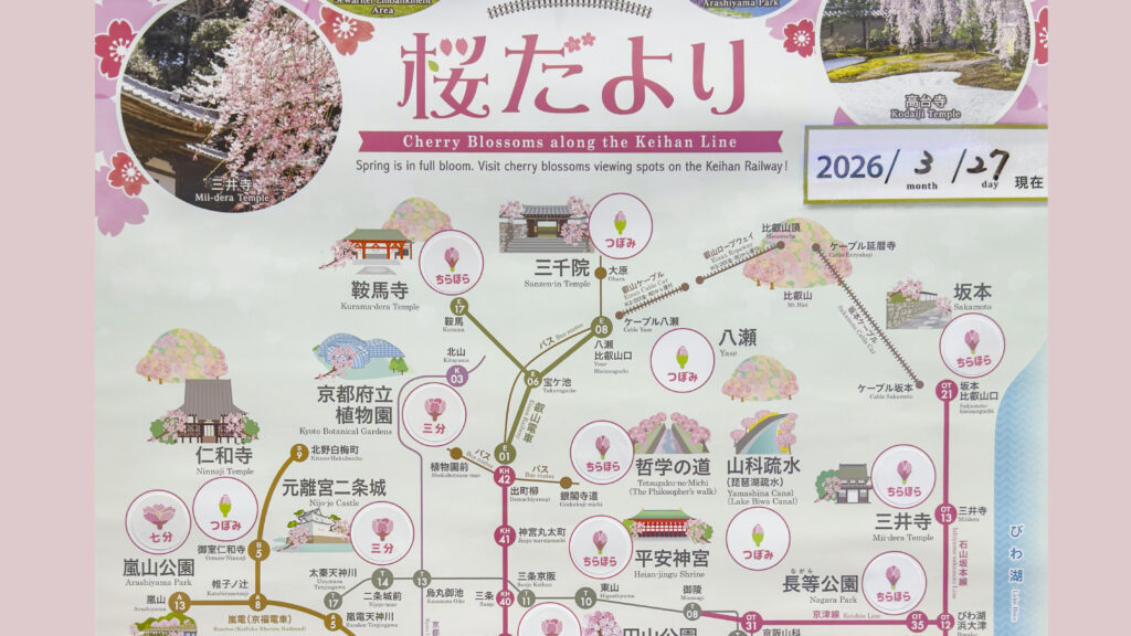 2026桜の開花情報（3/27）京都/大阪/滋賀